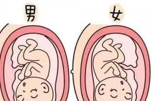 想生男孩（女孩）可以做试管吗？-生殖专家科普