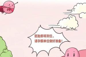 生殖专家为你揭秘做试管婴儿孕酮高为什么不能移植的原因