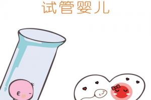适合做试管婴儿的5类人群汇总-建议收藏方便查阅