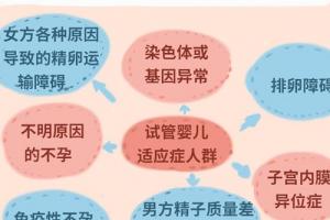 这五类夫妻适合做试管婴儿，详细了解五个步骤-祝您好孕