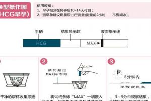 【验孕棒怎么用】验孕棒的使用方法图片