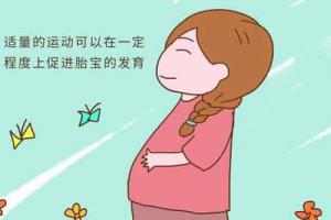 试管婴儿移植后注意事项及饮食攻略-值得收藏