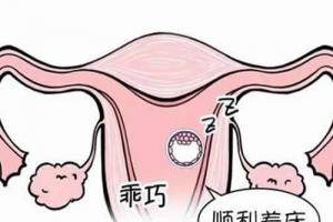 试管婴儿移植后女性需要注意这7点-提高成功率节约费用