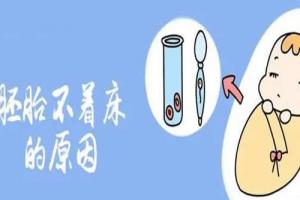 试管婴儿移植多次反复不着床？这6个因素早了解早避免！