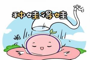 试管婴儿移植后注意事项及五个饮食注意事项