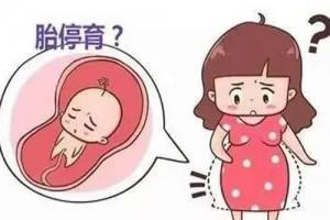 胎心胎芽都有了为什么还会胎停育？导致胎停育的具体原因分析