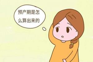 试管婴儿怎么计算预产期，经验分享