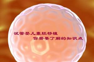 盘点试管囊胚移植你需要了解的3个重要知识点-2021优质科普