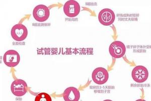 科普一下做试管婴儿的详细流程，每个细节都很重要哦