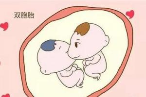 试管婴儿双胞胎好吗，风险大吗
