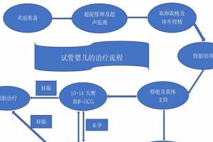 试管婴儿流程的七个步骤