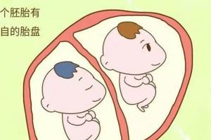 三胎时代试管助孕可以要双胞胎或龙凤胎吗？专家：不建议
