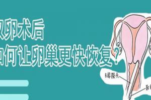 试管取卵后5个方法让卵巢恢复更快，保管有效！