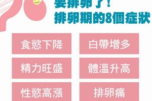 盘点女性排卵期的八个征兆-备孕夫妻可自行对照安排同房时间