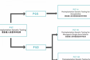三代试管pgs/pgd的区别，你还傻傻分不清楚吗？