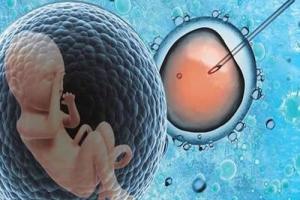 一文解读女性做试管婴儿对身体有哪些方面的伤害