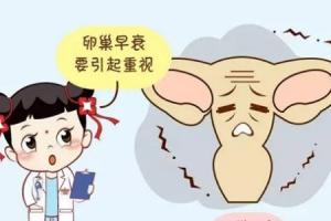 卵巢早衰患者要如何提高试管婴儿成功率-专家的回应来了