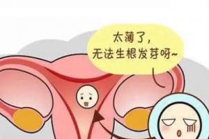 警惕！子宫内膜薄是引起女性不孕的一大原因！