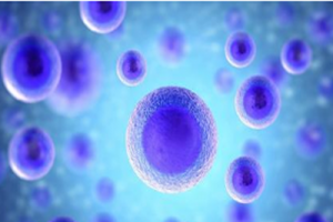 试管婴儿取卵数比b超数少的5个主要原因-专家解读