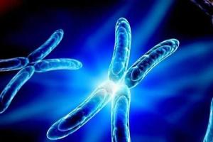 科普:试管婴儿能选择男孩女孩吗