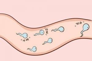 一文解读男性年龄对试管婴儿成功率的影响