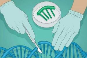 第三代试管婴儿可以筛查这4类遗传病-建议收藏查阅