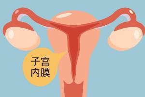 女性月经周期不同时期的内膜厚度详细变化-建议收藏