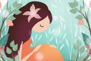 分享4个让试管婴儿移植更易着床的小妙招-帮助提高成功率