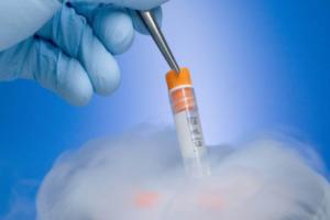生殖专家口述试管婴儿囊胚移植成功10天内的五大感觉