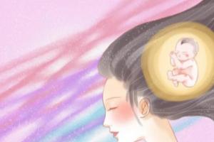 生殖专家解答胎停或流产后多久可以做试管婴儿