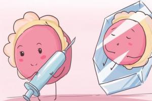 试管婴儿冻胚移植4步流程解读