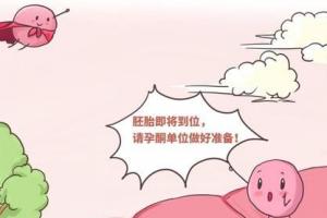 试管婴儿孕酮高怎么办？需做到这5点