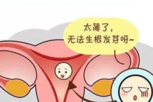 适合胚胎移植的子宫内膜