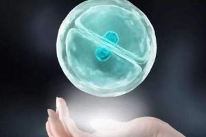 做试管婴儿过程中可能对女性造成的四大危害