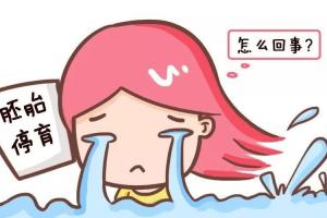试管婴儿为什么会胎停？专家解释有这4种可能