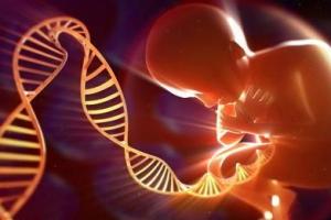 第三代试管婴儿适合什么人群？这6类人没做过一定不要放弃