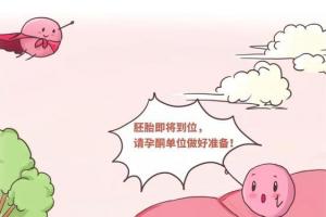试管婴儿需要看孕酮吗？关于孕酮这些问题你必须知道
