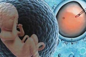 盘点试管婴儿的五个好处五个坏处-利弊统统告诉你