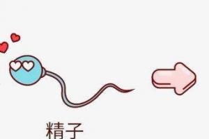 女性绝经后还能做试管婴儿吗？自然绝经的一般不能