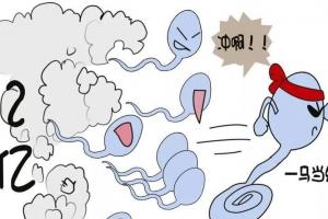 精子奋斗史：赢家须速度与运气兼备