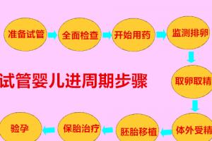 试管婴儿进周期9个步骤解析详细流程