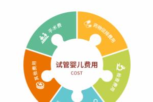 国内试管婴儿费用大约多少2021年-各项收费明细大公开