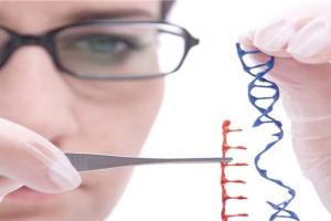 一分钟了解清楚做三代试管婴儿的所有流程「详细解读」