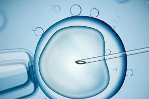 自然周期移植冻胚成功率高吗-数据显示临床妊娠率高达60%