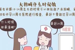 胎儿做大排畸项目检查的最佳时间是多少周-24周为最佳时间