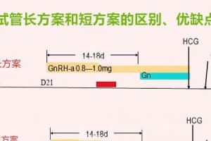 解读试管长方案和短方案的区别（优缺点）