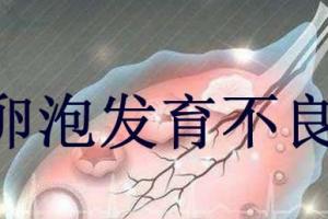 女性卵泡发育不好的原因有哪些-以下几点原因一定要记牢