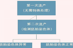 早期反复流产的原因是什么？专家说50%是染色体异常