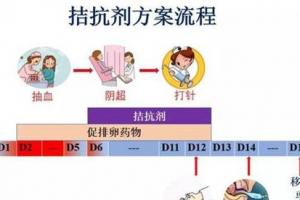 三分钟为你解读拮抗剂方案的优缺点