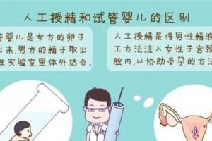 从三个角度详细分析人工授精和试管婴儿的区别